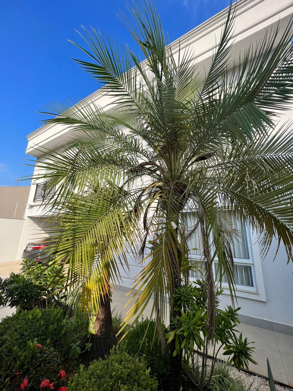 Comprar Casa / Residencial em Americana R$ 1.400.000,00 - Foto 3