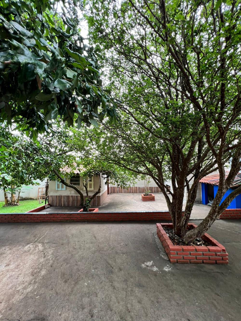 Comprar Rural / Ch&aacute;cara em Santa B&aacute;rbara D`Oeste R$ 900.000,00 - Foto 5