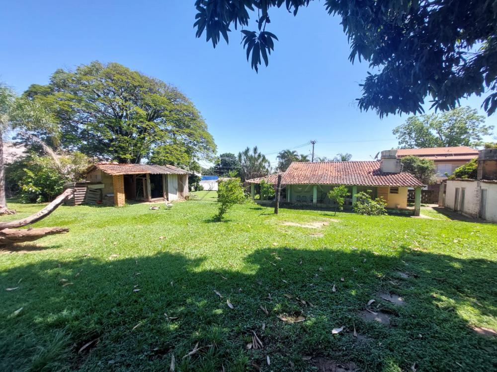 Comprar Rural / Ch&aacute;cara em Americana R$ 1.350.000,00 - Foto 4