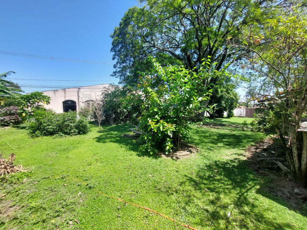 Comprar Rural / Ch&aacute;cara em Americana R$ 1.350.000,00 - Foto 13