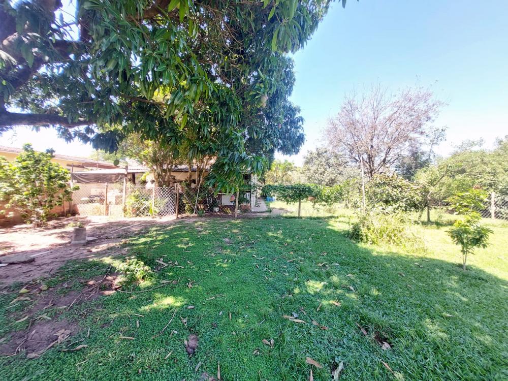 Comprar Rural / Ch&aacute;cara em Americana R$ 1.350.000,00 - Foto 14