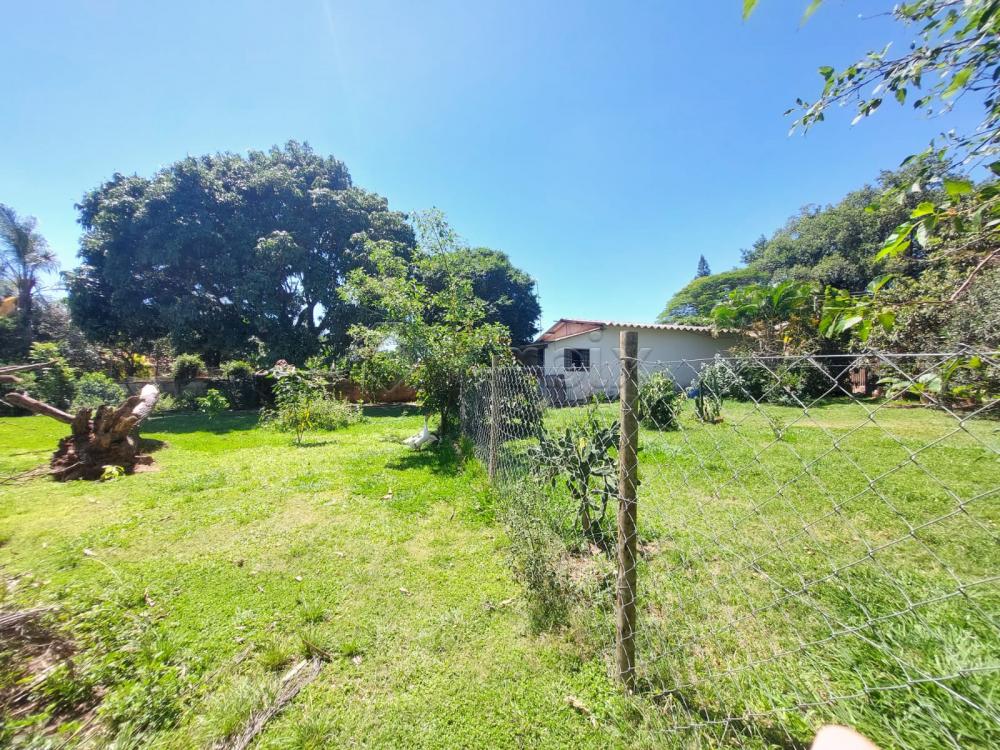 Comprar Rural / Ch&aacute;cara em Americana R$ 1.350.000,00 - Foto 15