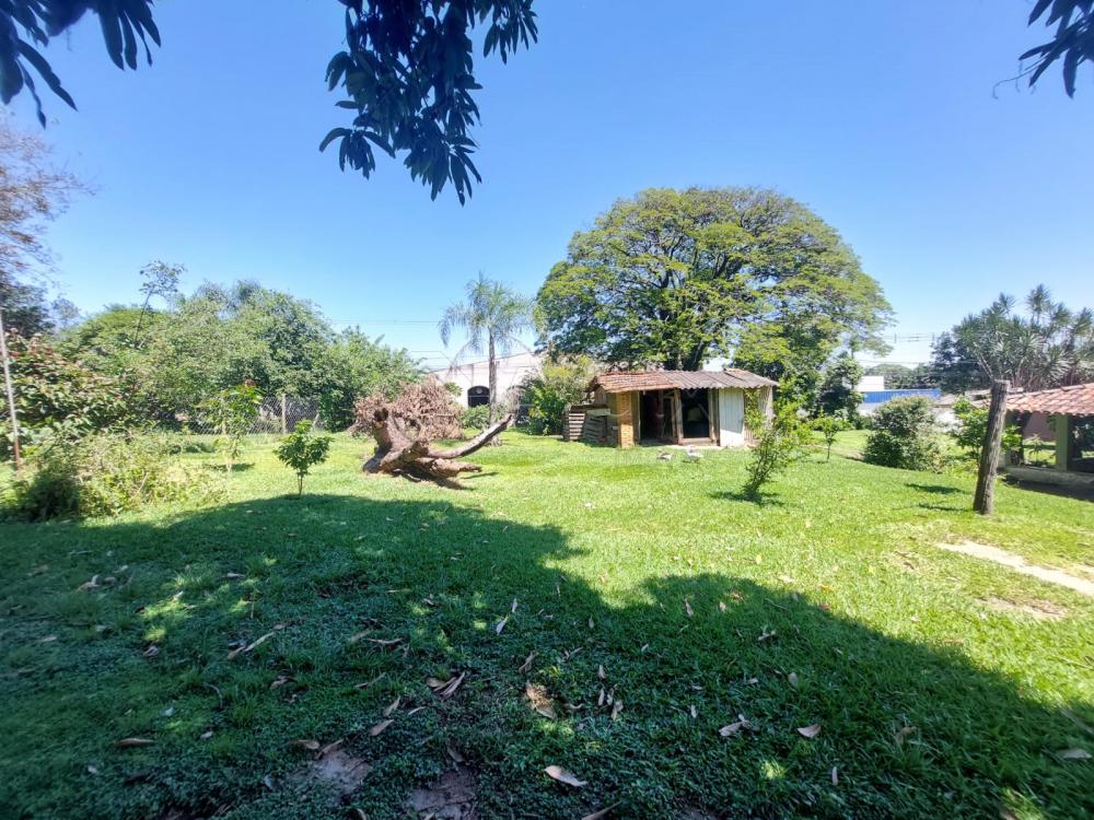 Comprar Rural / Ch&aacute;cara em Americana R$ 1.350.000,00 - Foto 18