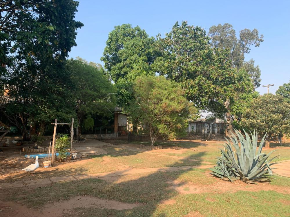 Comprar Rural / Ch&aacute;cara em Americana R$ 1.800.000,00 - Foto 14