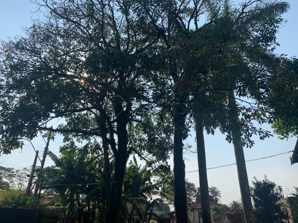 Comprar Rural / Ch&aacute;cara em Americana R$ 1.800.000,00 - Foto 16