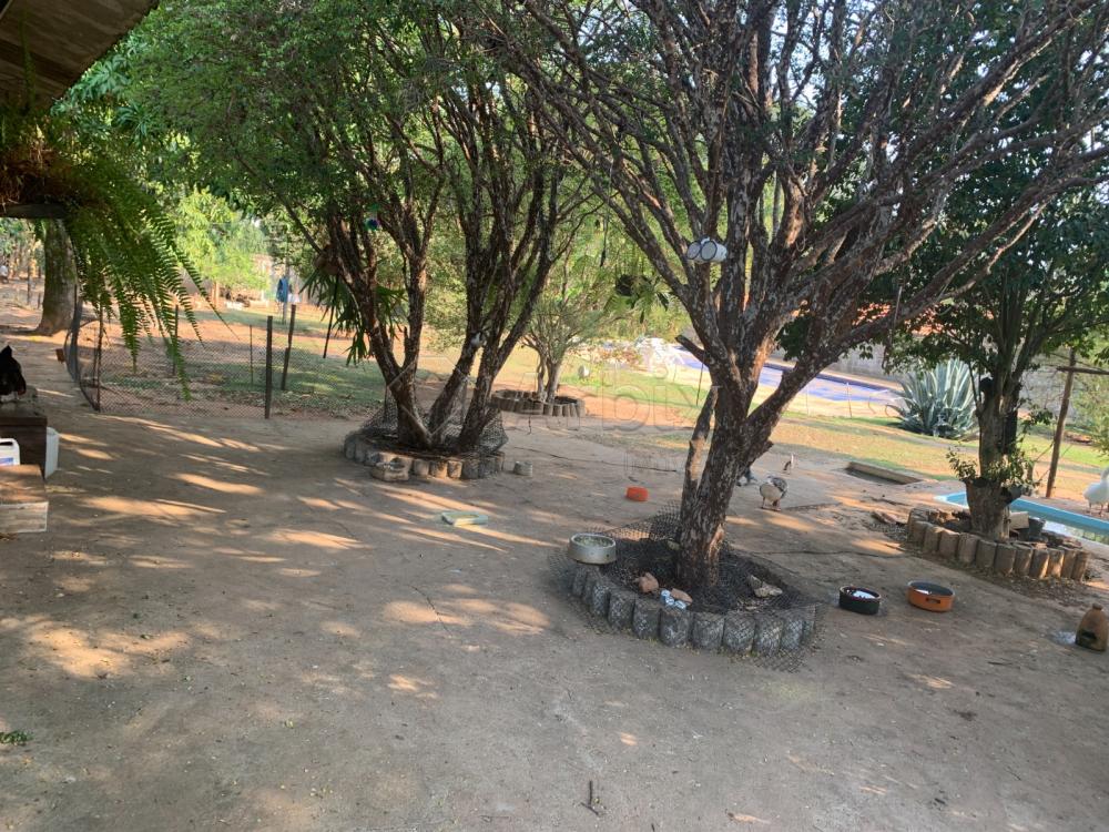 Comprar Rural / Ch&aacute;cara em Americana R$ 1.800.000,00 - Foto 17