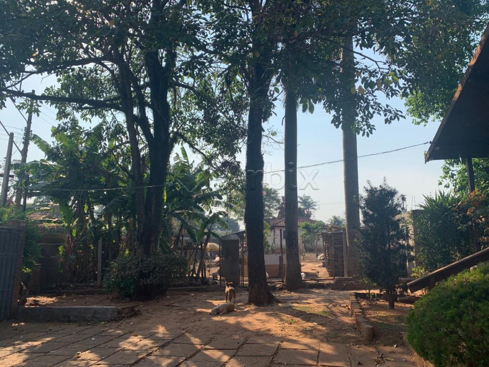 Comprar Rural / Ch&aacute;cara em Americana R$ 1.800.000,00 - Foto 18