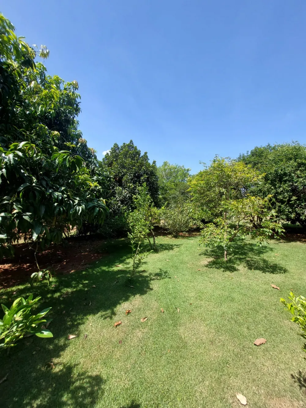 Comprar Rural / Ch&aacute;cara em Limeira R$ 1.292.000,00 - Foto 10