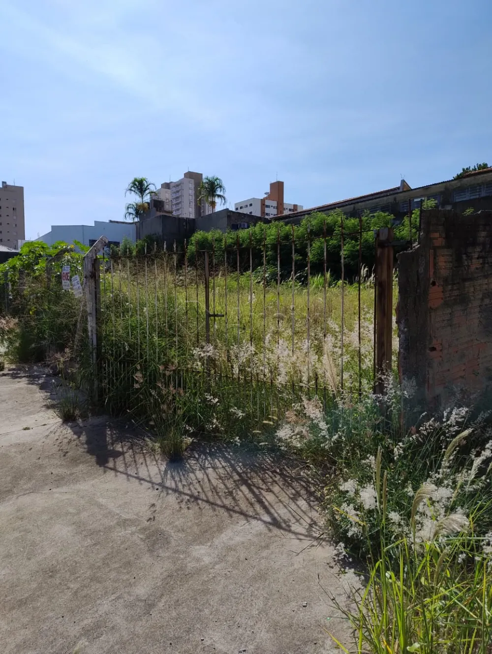 Comprar Terreno / &Aacute;rea em Americana R$ 2.500.000,00 - Foto 5