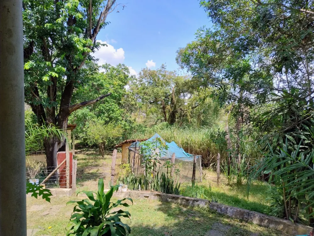 Comprar Rural / Ch&aacute;cara em Nova Odessa R$ 650.000,00 - Foto 7