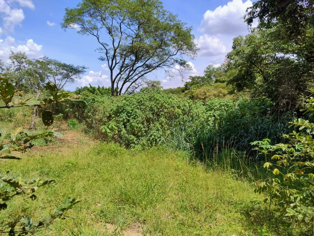 Comprar Rural / Ch&aacute;cara em Nova Odessa R$ 650.000,00 - Foto 8