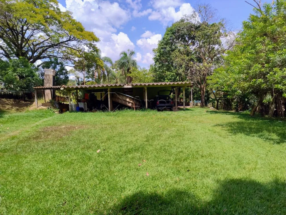 Comprar Rural / Ch&aacute;cara em Nova Odessa R$ 650.000,00 - Foto 11