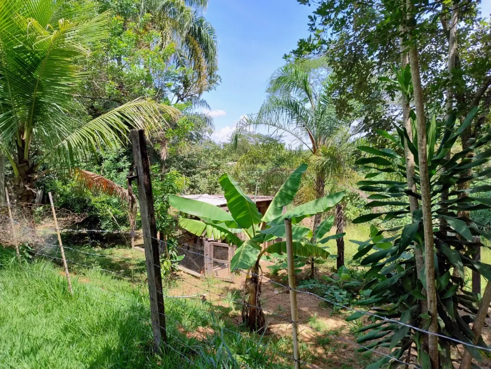 Comprar Rural / Ch&aacute;cara em Nova Odessa R$ 650.000,00 - Foto 9