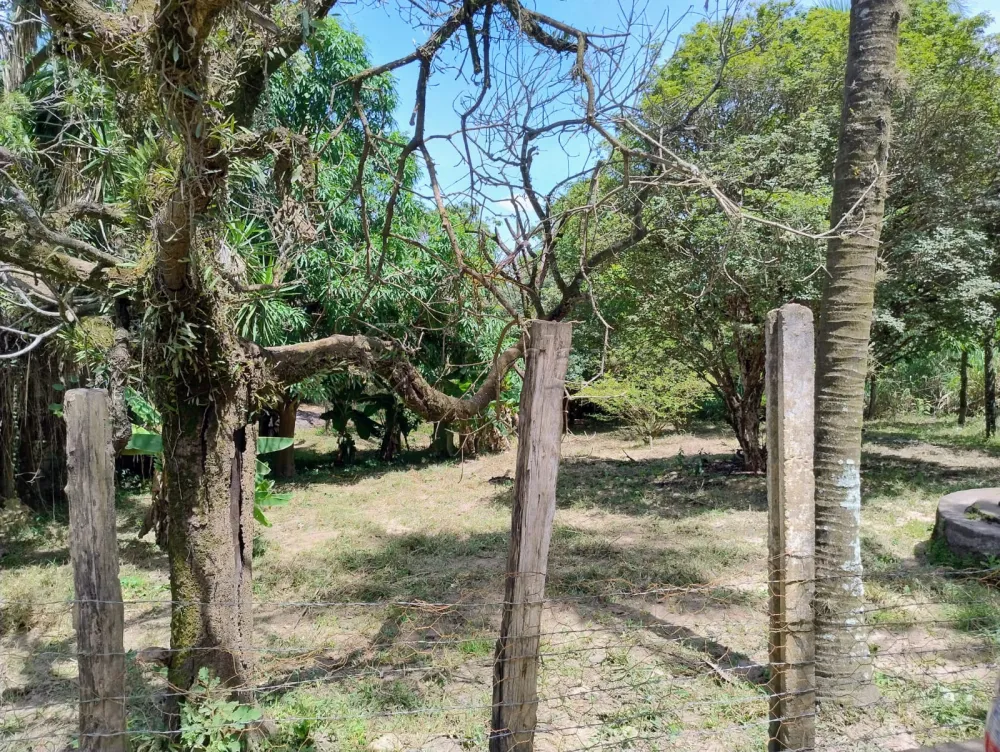 Comprar Rural / Ch&aacute;cara em Nova Odessa R$ 650.000,00 - Foto 13