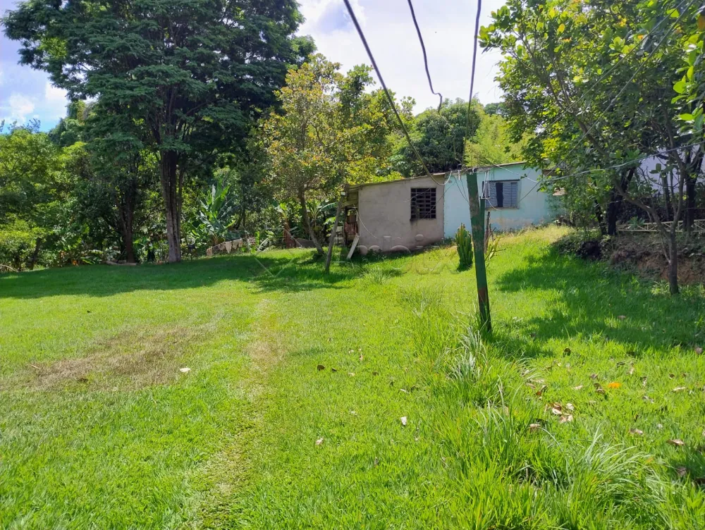 Comprar Rural / Ch&aacute;cara em Nova Odessa R$ 650.000,00 - Foto 14