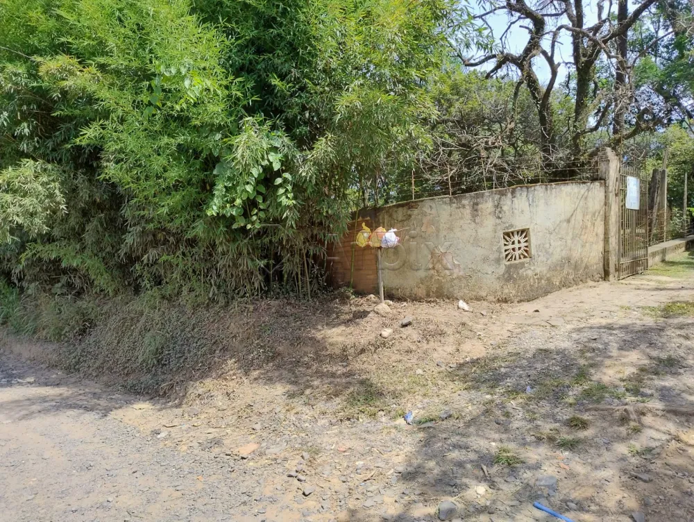 Comprar Rural / Ch&aacute;cara em Nova Odessa R$ 650.000,00 - Foto 15