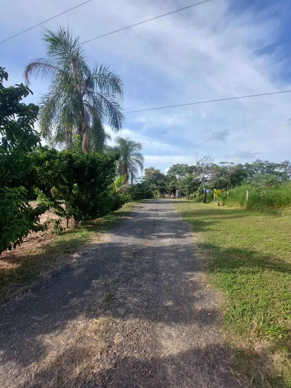 Comprar Rural / S&iacute;tio em Limeira R$ 1.500.000,00 - Foto 5