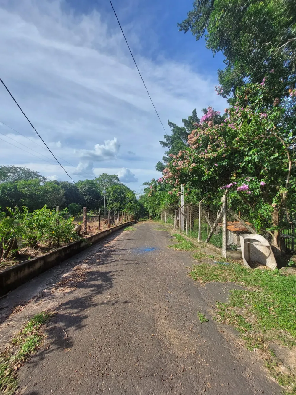 Comprar Rural / S&iacute;tio em Limeira R$ 1.500.000,00 - Foto 6
