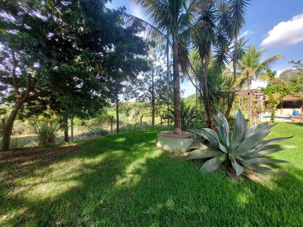 Comprar Rural / S&iacute;tio em Limeira R$ 1.500.000,00 - Foto 12