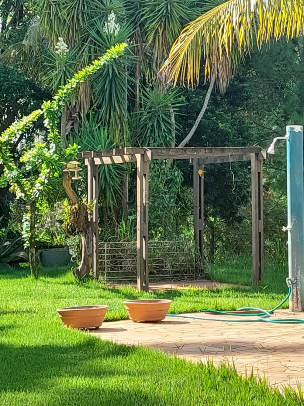 Comprar Rural / S&iacute;tio em Limeira R$ 1.500.000,00 - Foto 21