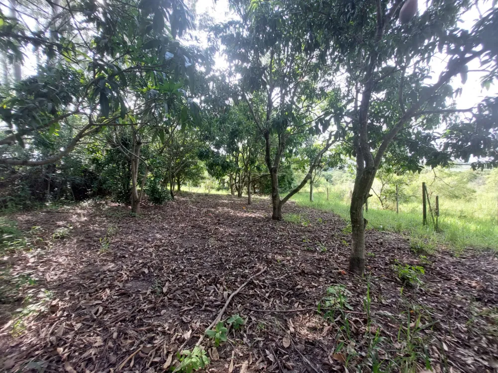 Comprar Rural / S&iacute;tio em Limeira R$ 1.500.000,00 - Foto 35