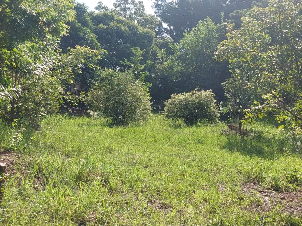 Comprar Rural / S&iacute;tio em Limeira R$ 1.500.000,00 - Foto 36