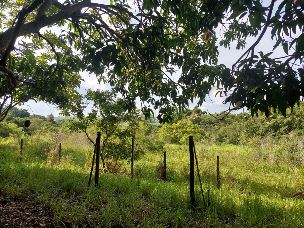 Comprar Rural / S&iacute;tio em Limeira R$ 1.500.000,00 - Foto 37