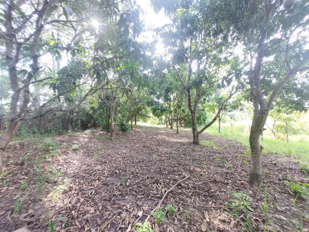 Comprar Rural / S&iacute;tio em Limeira R$ 1.500.000,00 - Foto 38