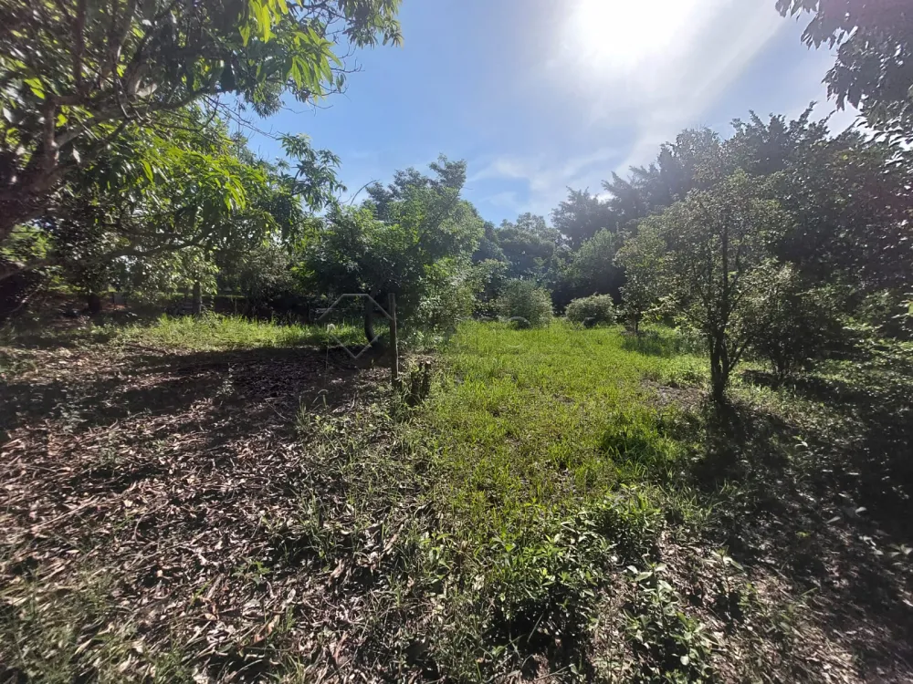 Comprar Rural / S&iacute;tio em Limeira R$ 1.500.000,00 - Foto 39