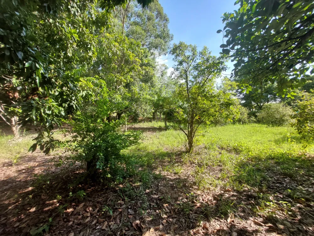 Comprar Rural / S&iacute;tio em Limeira R$ 1.500.000,00 - Foto 40
