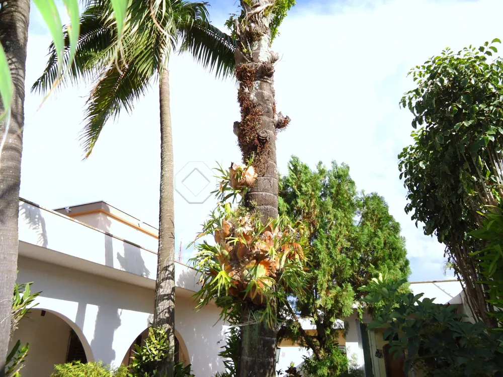 Comprar Casa / Residencial em Americana R$ 1.650.000,00 - Foto 68