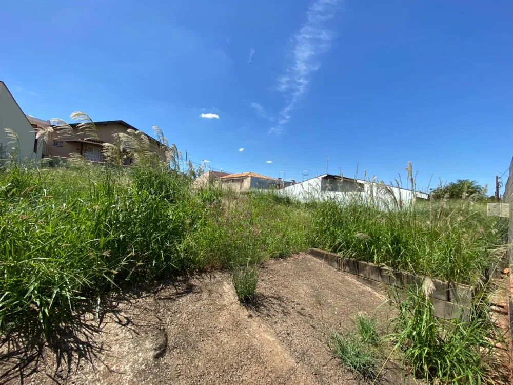 Alugar Terreno / Residencial em Americana R$ 1.000,00 - Foto 2