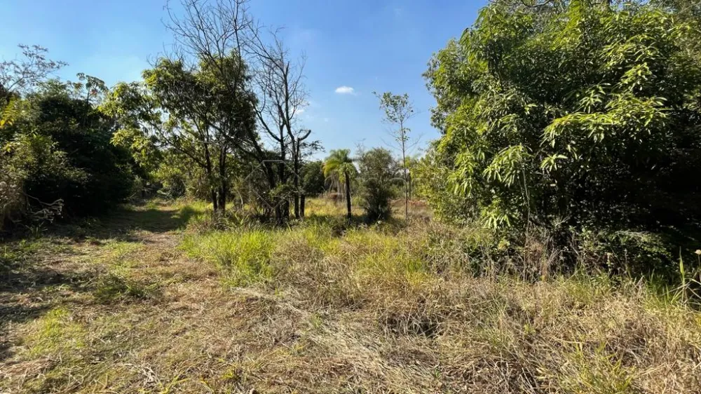 Comprar Rural / Ch&aacute;cara em Limeira R$ 6.730.000,00 - Foto 20