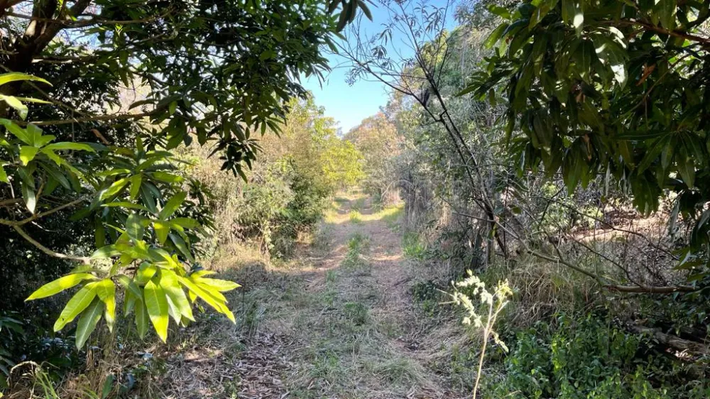 Comprar Rural / Ch&aacute;cara em Limeira R$ 6.730.000,00 - Foto 21