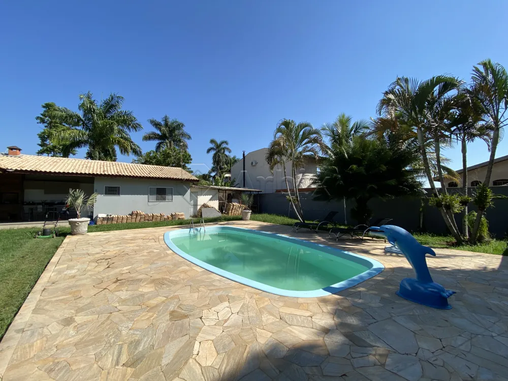 Alugar Rural / Ch&aacute;cara em Americana R$ 6.800,00 - Foto 2