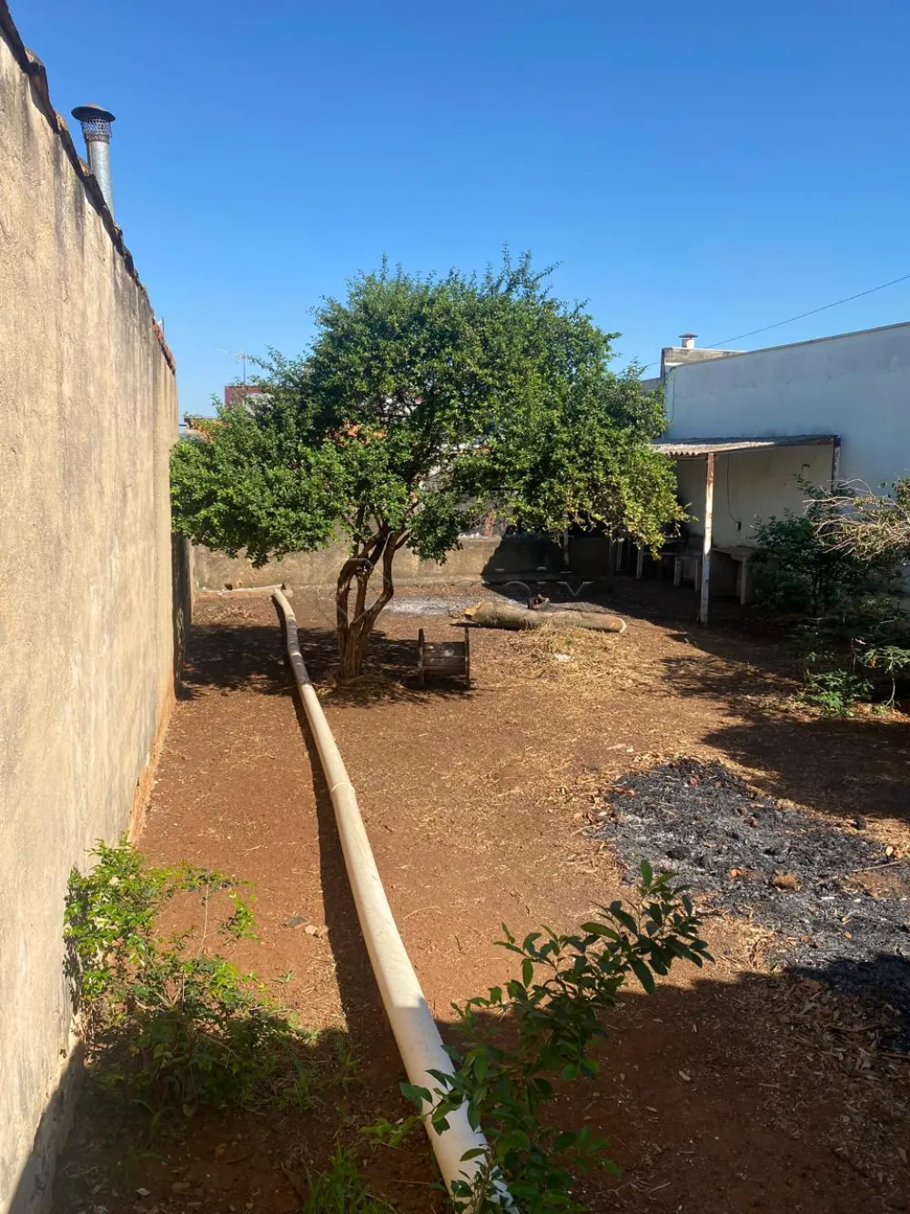 Alugar Casa / Residencial em Americana R$ 1.850,00 - Foto 17