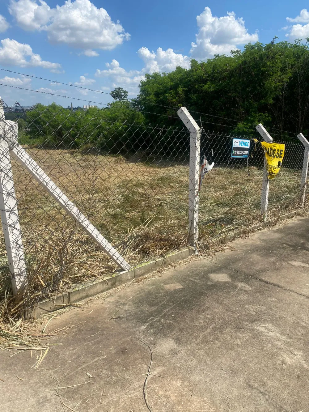 Comprar Terreno / Comercial em Americana R$ 1.600.000,00 - Foto 2