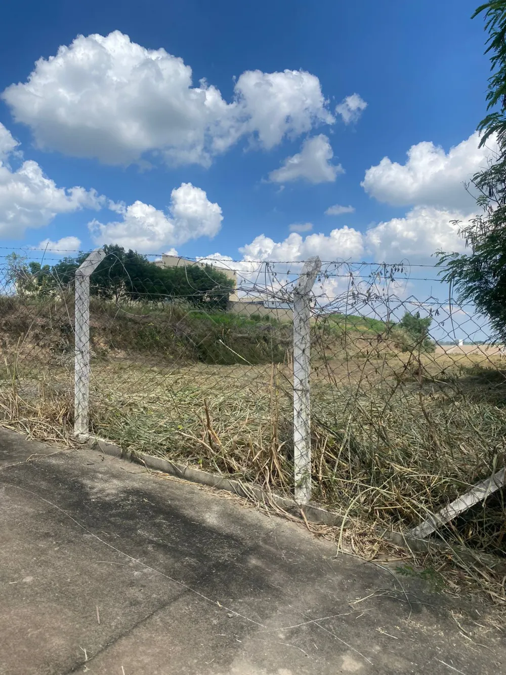 Comprar Terreno / Comercial em Americana R$ 1.600.000,00 - Foto 4