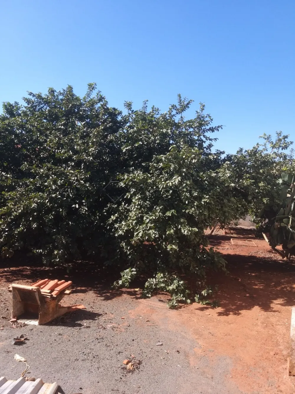 Comprar Terreno / Residencial em Americana R$ 395.000,00 - Foto 5