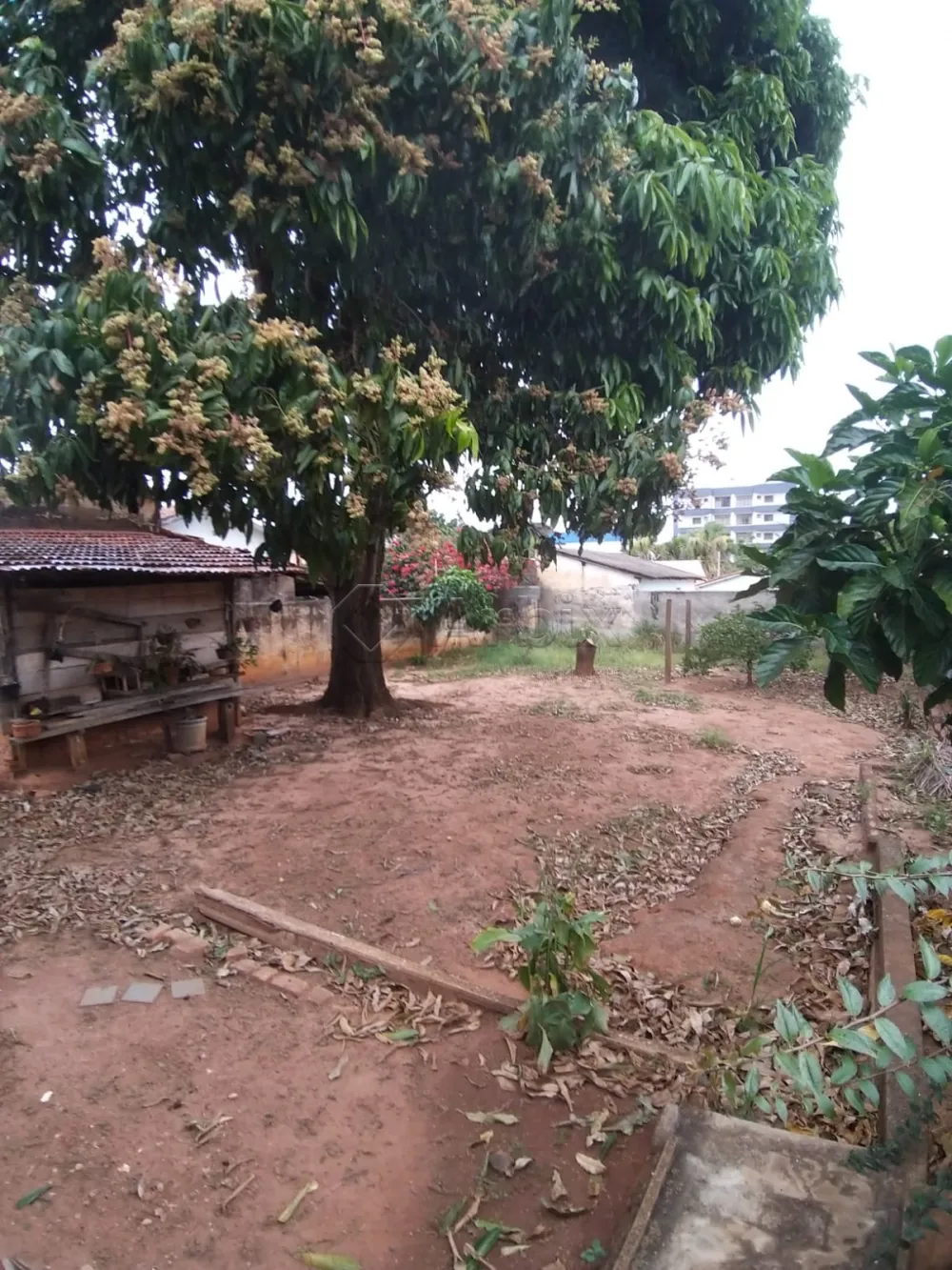 Comprar Casa / Residencial em Americana R$ 700.000,00 - Foto 13