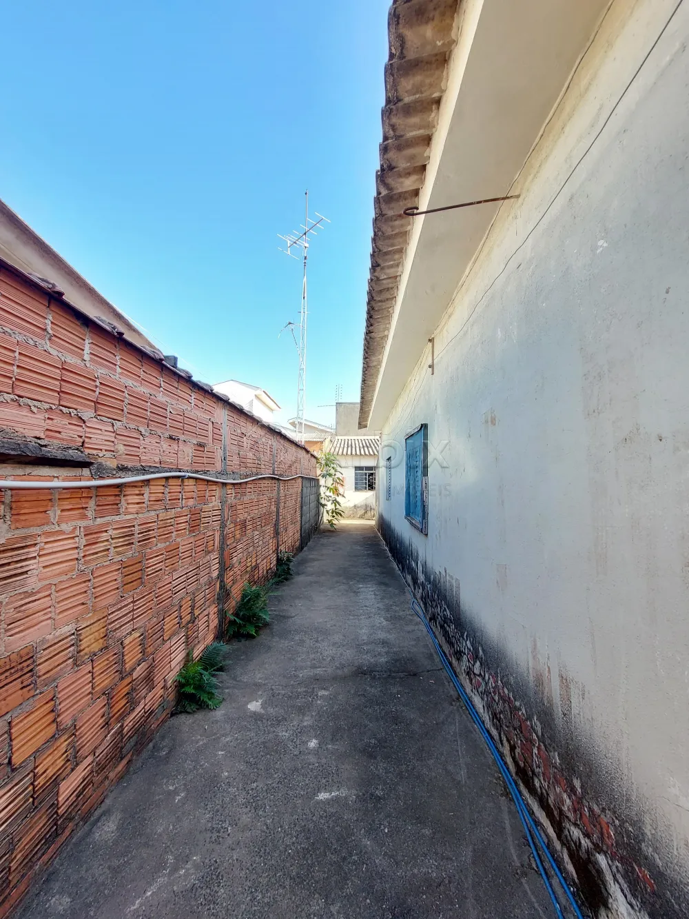 Alugar Casa / Residencial em Americana R$ 1.900,00 - Foto 11