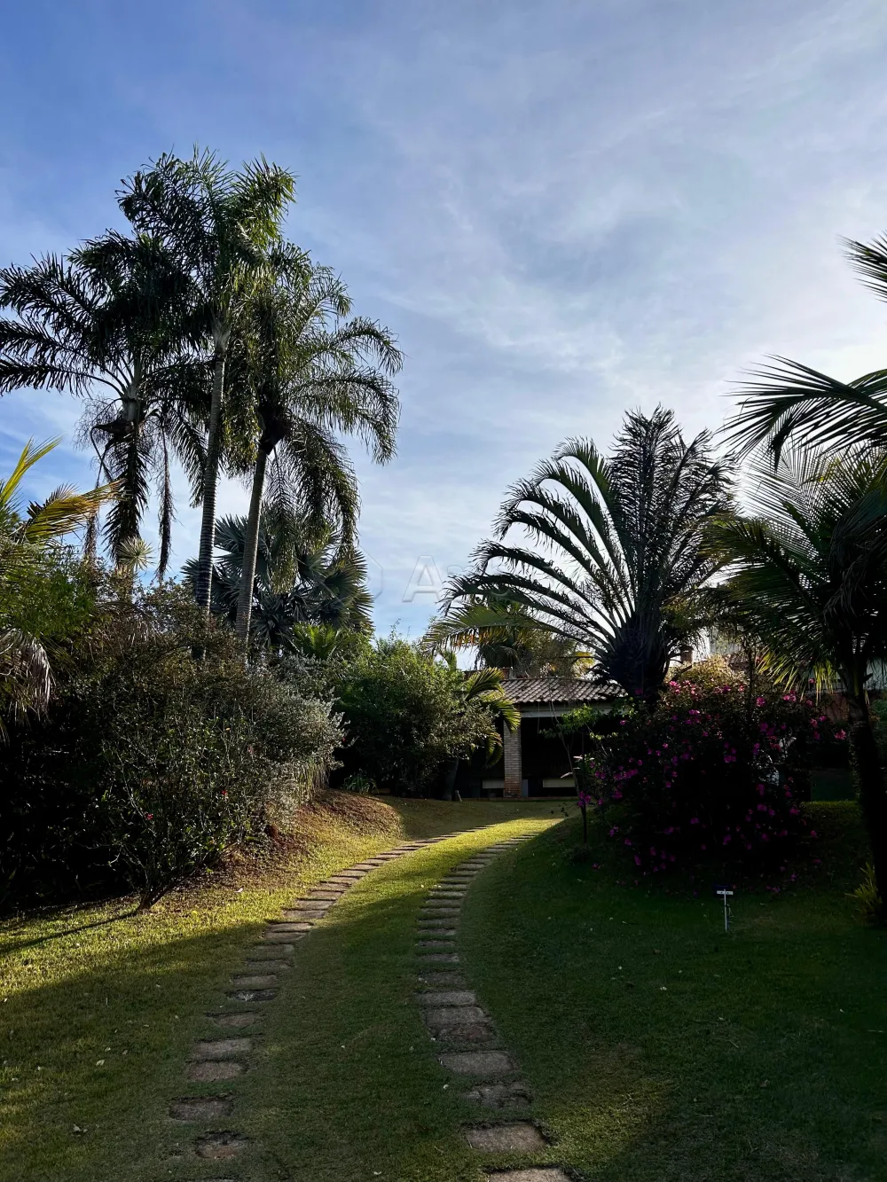 Comprar Casa / Ch&aacute;cara em Americana R$ 1.800.000,00 - Foto 3