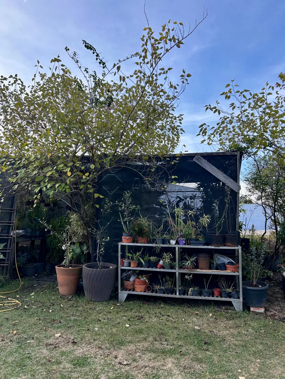 Comprar Casa / Ch&aacute;cara em Americana R$ 1.800.000,00 - Foto 9