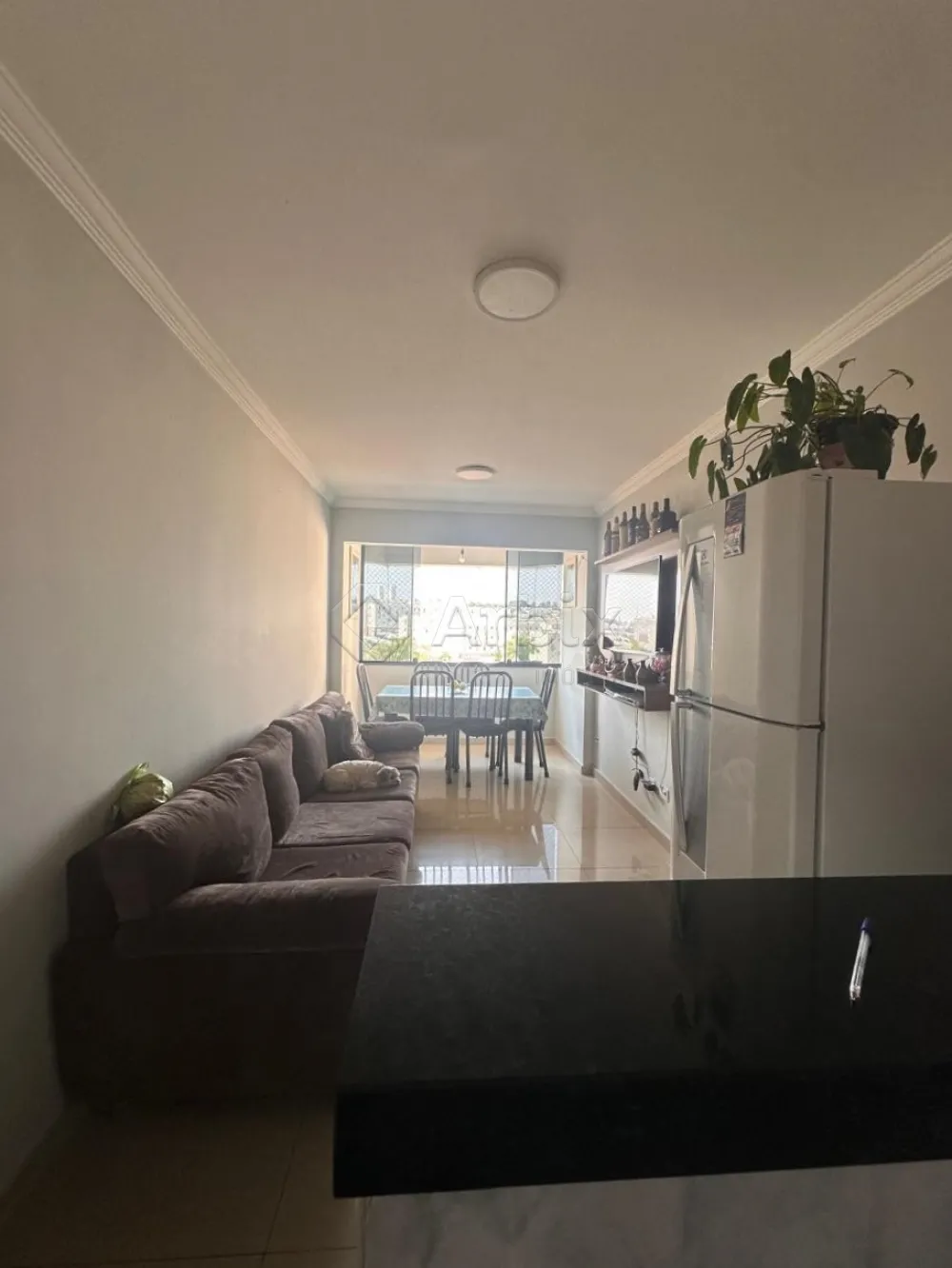 Comprar Apartamento / Apartamento em Americana R$ 230.000,00 - Foto 1