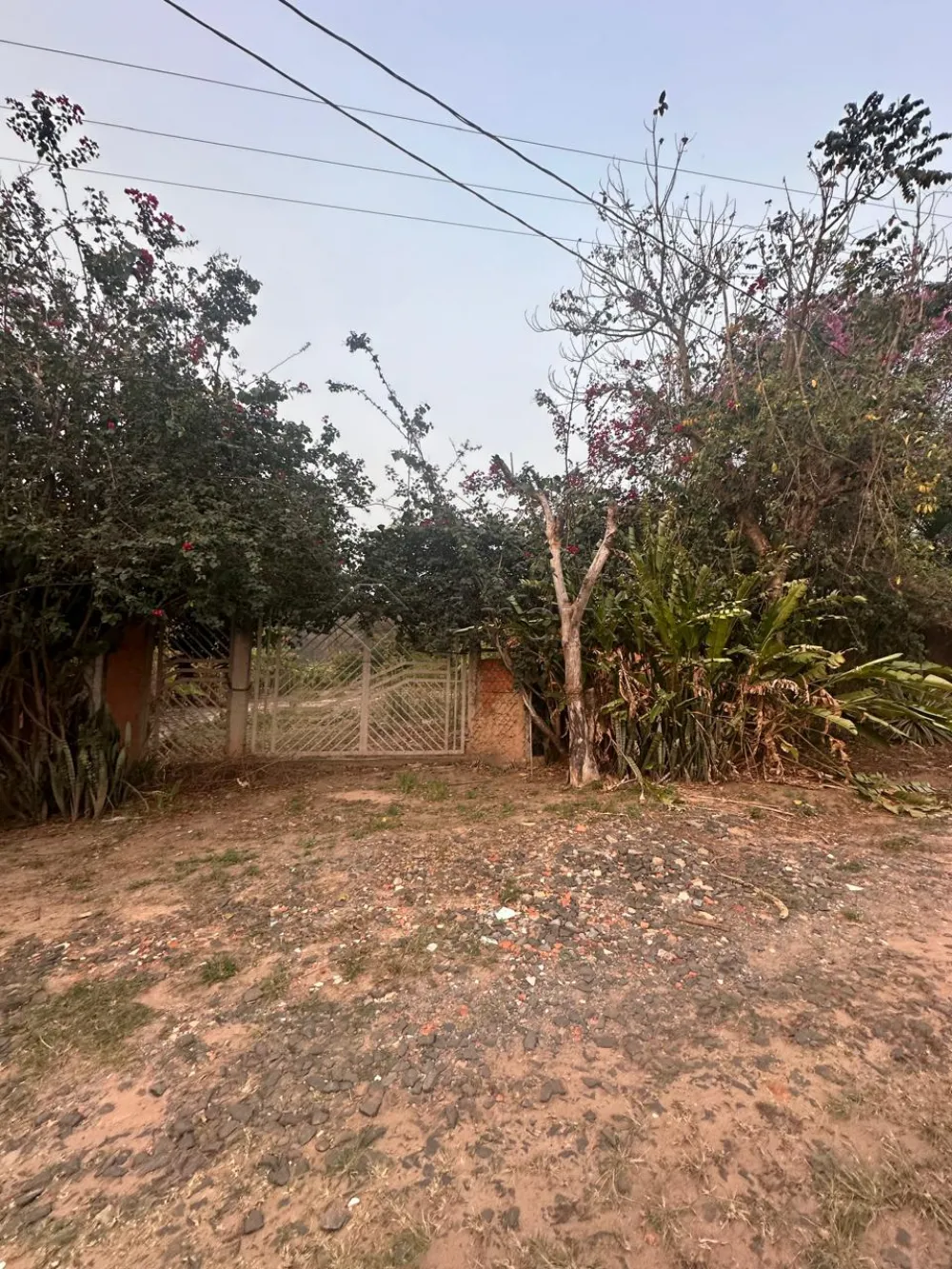 Comprar Rural / Condom&iacute;nio de Ch&aacute;cara em Limeira R$ 850.000,00 - Foto 2