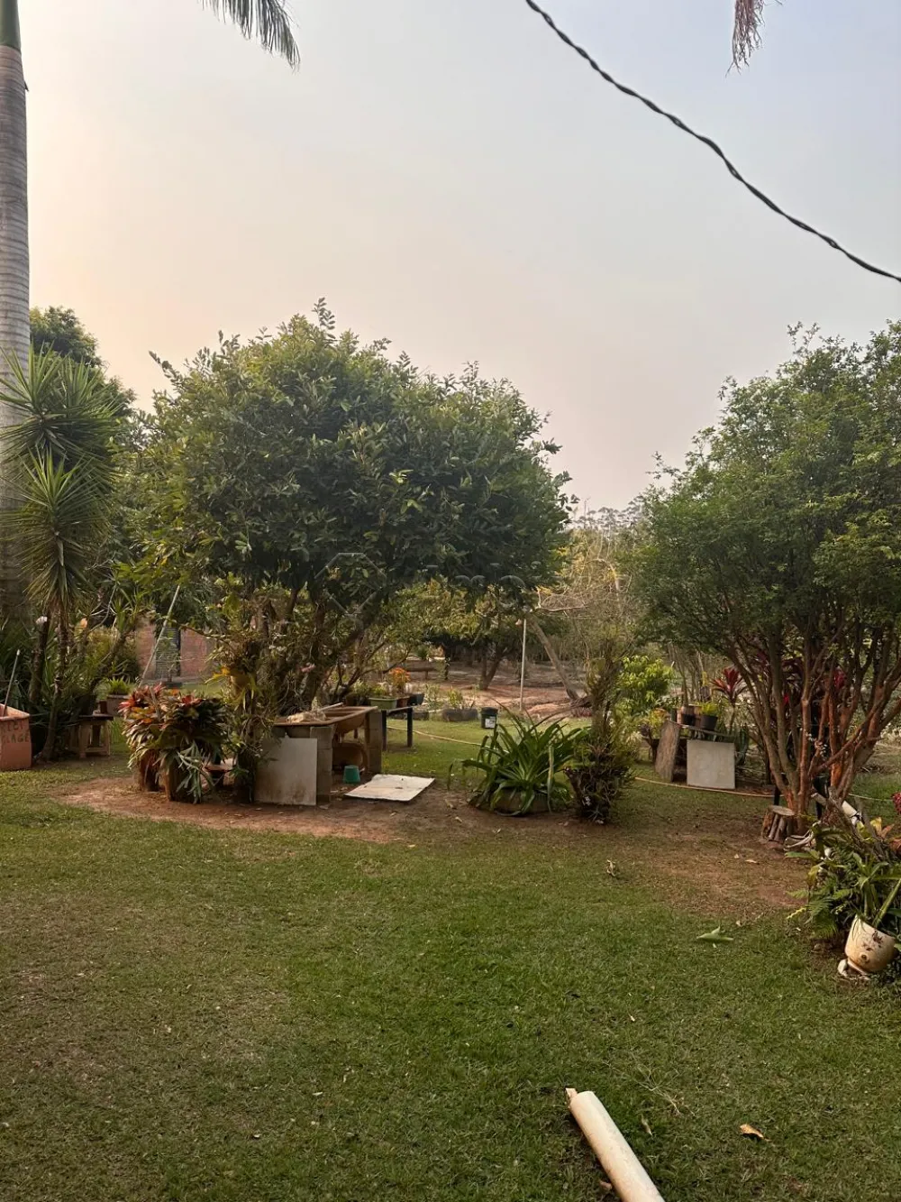 Comprar Rural / Condom&iacute;nio de Ch&aacute;cara em Limeira R$ 850.000,00 - Foto 6