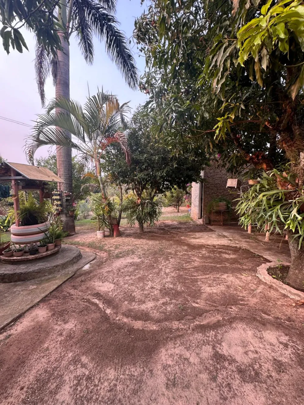 Comprar Rural / Condom&iacute;nio de Ch&aacute;cara em Limeira R$ 850.000,00 - Foto 7