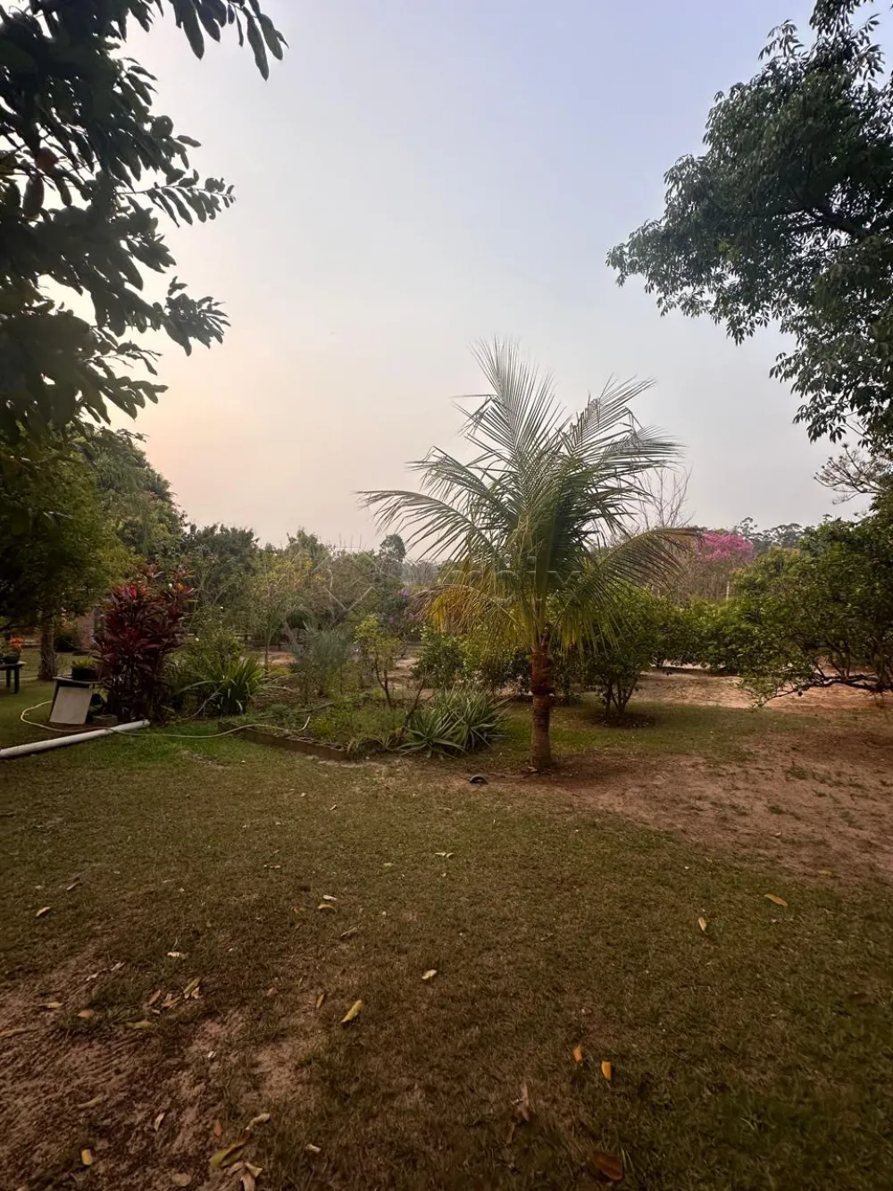 Comprar Rural / Condom&iacute;nio de Ch&aacute;cara em Limeira R$ 850.000,00 - Foto 21