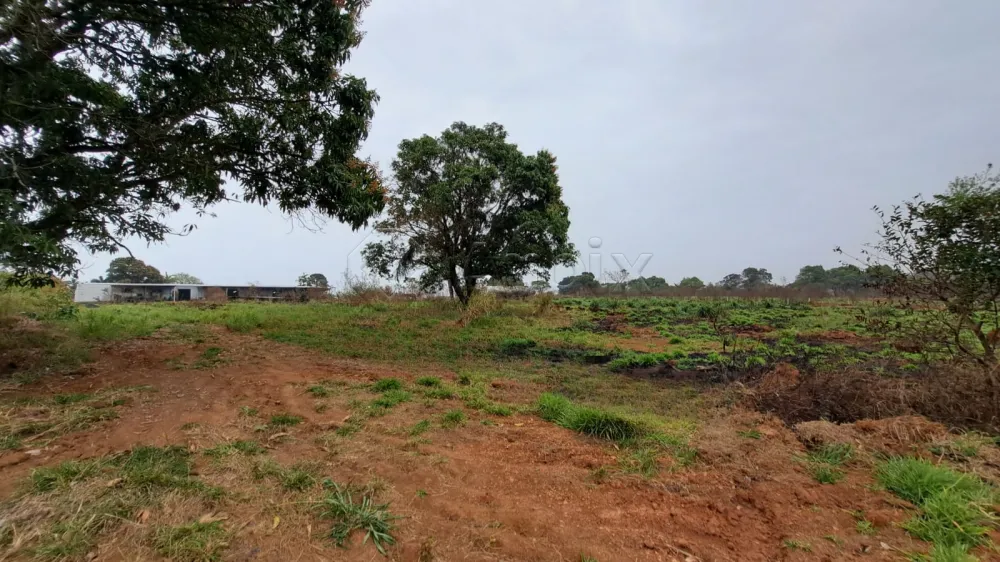 Alugar Terreno / Residencial em Limeira R$ 3.000,00 - Foto 1