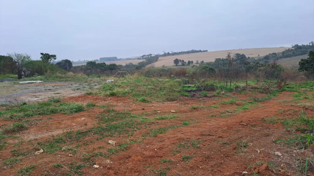 Alugar Terreno / Residencial em Limeira R$ 3.000,00 - Foto 3